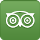 TripAdvisor icon