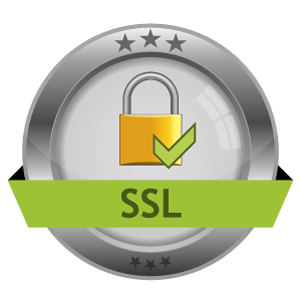 Secure site with SSL SSL Website
