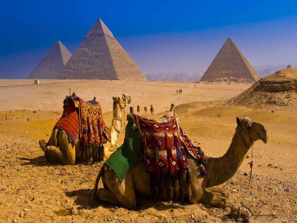 Cairo Pyramids Day Tour and Nile Cruise Lunch from Port Said