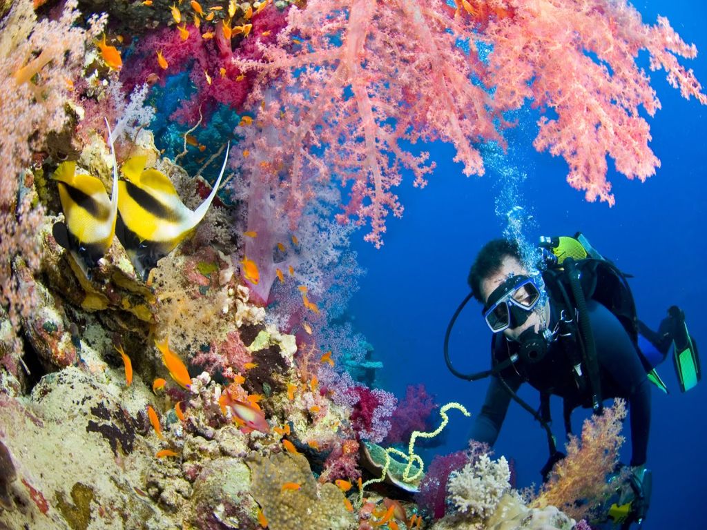 Pyramids & Nile Cruise & Sharm-El-Shiekh