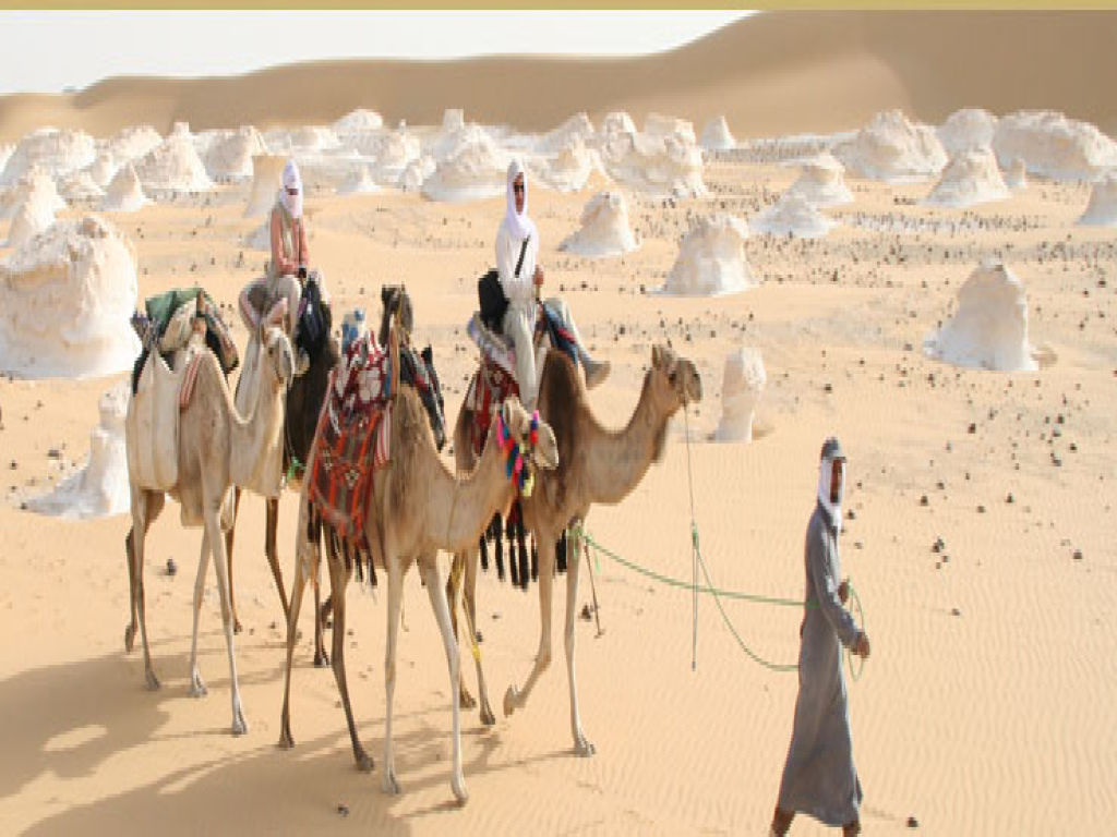 Pyramids, Nile Cruise and Oasis Desert