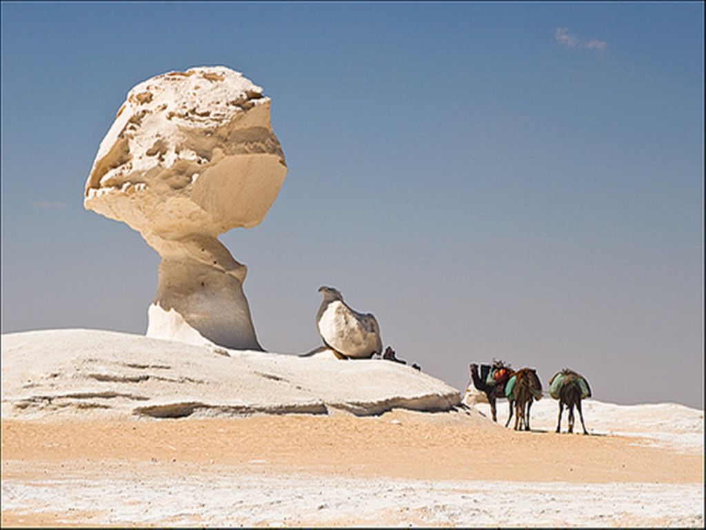 Pyramids, Oases and Nile Cruise Tour