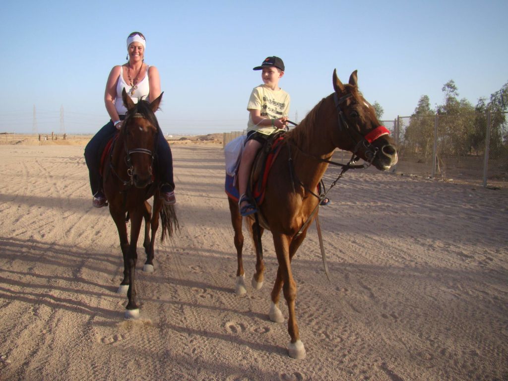 Horse Or Camel Ride at Sunset in luxor
