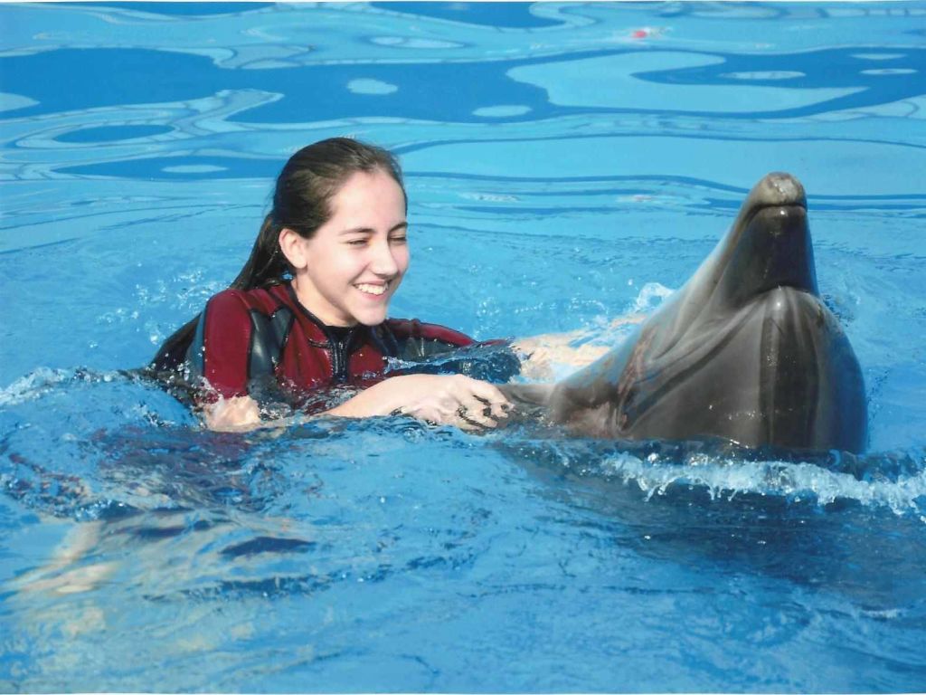 Dolphin Full Day Snorkeling Tour From Hurghada